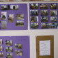 Bilderausstellung zur Kirchhofneugestaltung