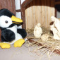 Krippe mit Punguin